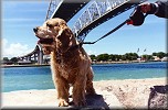 Gabby at the Blue Water Bridge